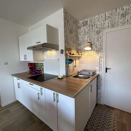 Apartment Appart Moderne 4 Pers, Proche Plage, Bbq, Lave-linge - Fr-1-224c-282